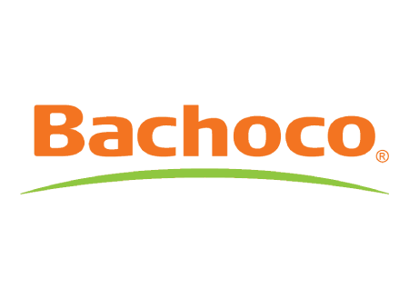 Bachocho